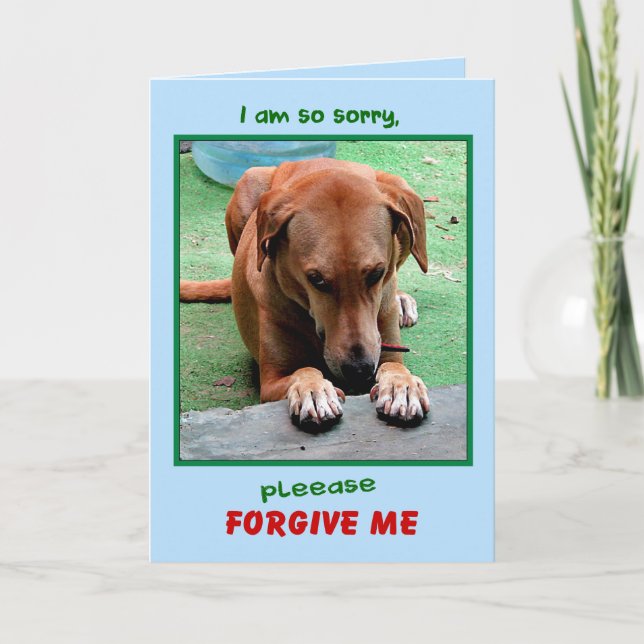 "Please Forgive Me" greeting card (Front)