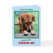 "Please Forgive Me" greeting card
