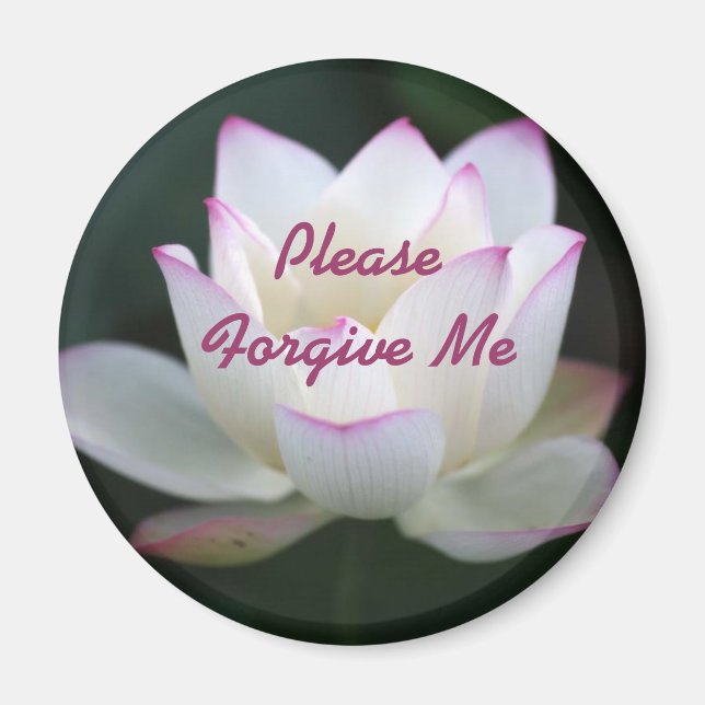 Please Forgive Me Magnet (Front)
