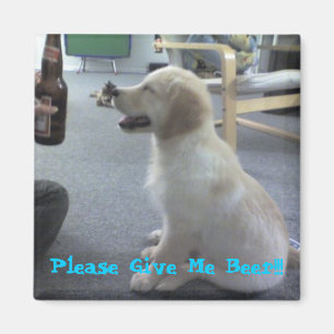 Please Give Me Beer!!! Magnet