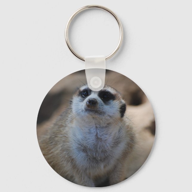 Please? Keychain (Front)