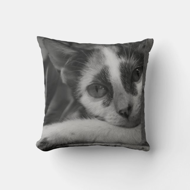 Please Kitty Throw Pillow (Front)