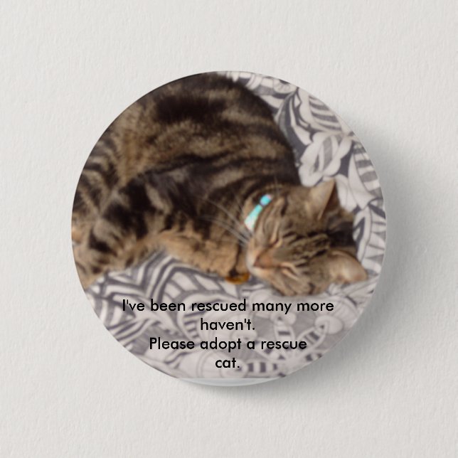 Please rescue a cat 2 inch round button (Front)