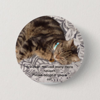 Please rescue a cat 2 inch round button