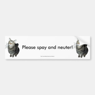 "Please Spay and Neuter" tabby cat bumper sticker