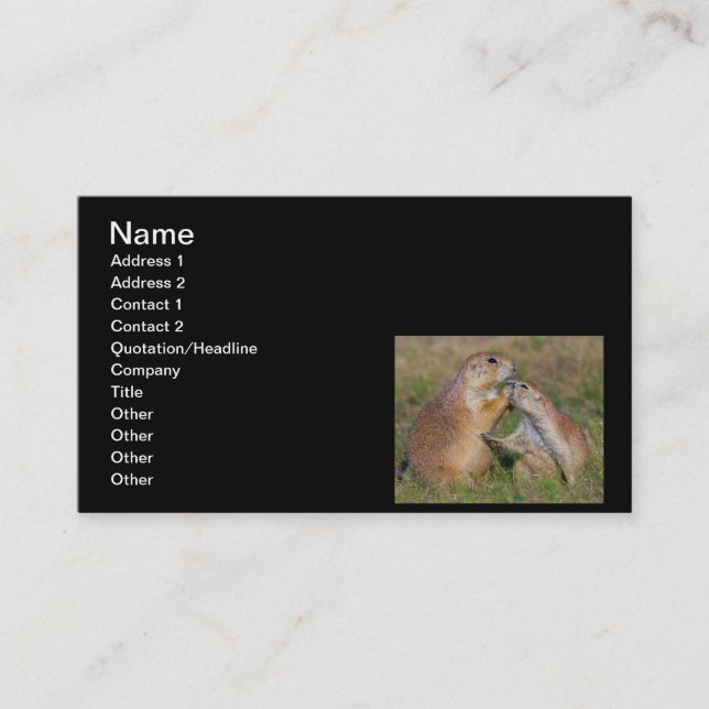 Please Stop Talking Business Card (Front)