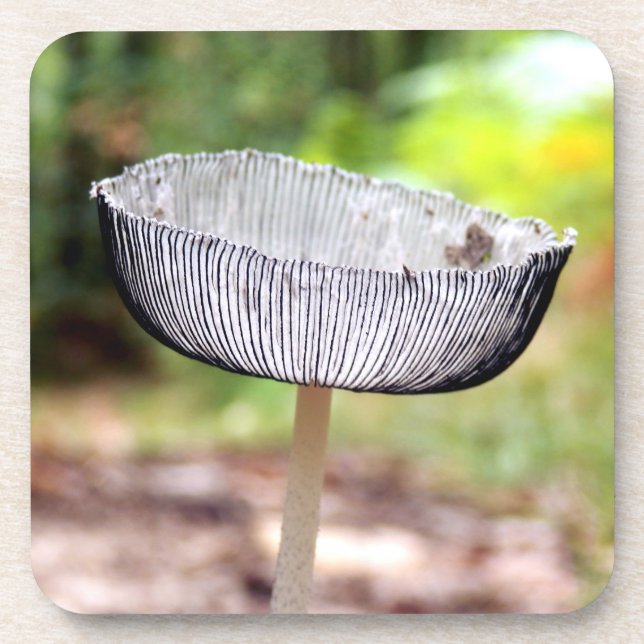 Pleated Inkcap Mushroom Hard Plastic Coasters (Front)