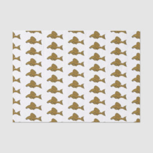 Pleco fish cartoon illustration tissue paper
