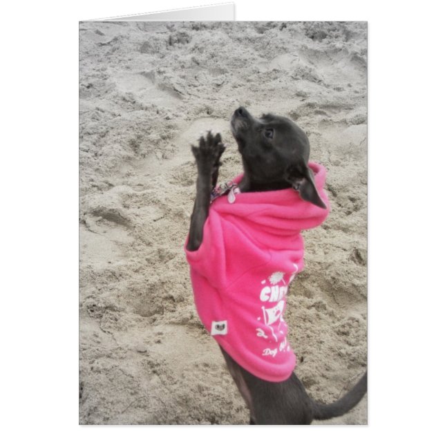 PLeeeeaaasssee!! (Front)