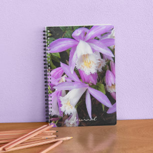 Pleione Windowsill Orchids Floral Notebook