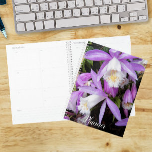 Pleione Windowsill Orchids Floral Planner