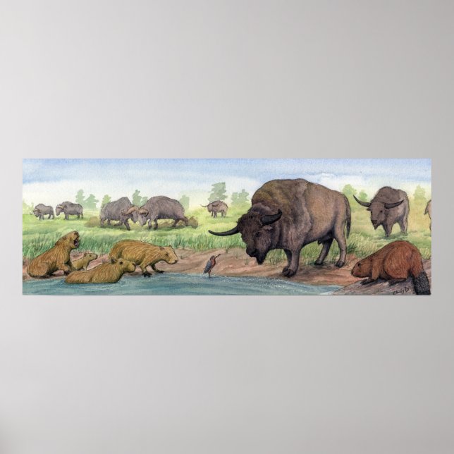 Pleistocene Texas Poster (Front)
