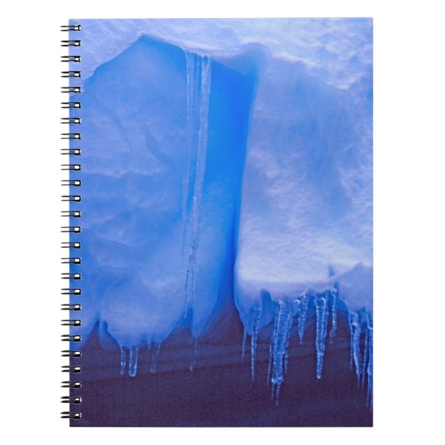 Pleneau Iceberg Graveyard, Antarctica: Blue Notebook (Front)