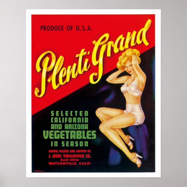 Plenti Grand Poster (Front)