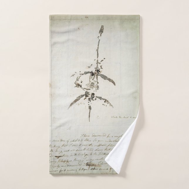 Plesiosaurus dolichodeirus (Serviette à main)