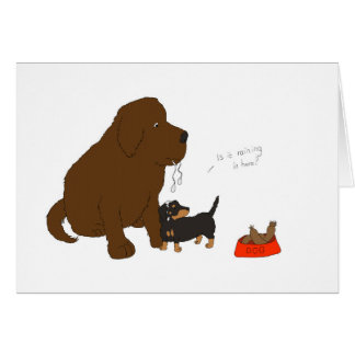 Pleut-il dedans ici ?