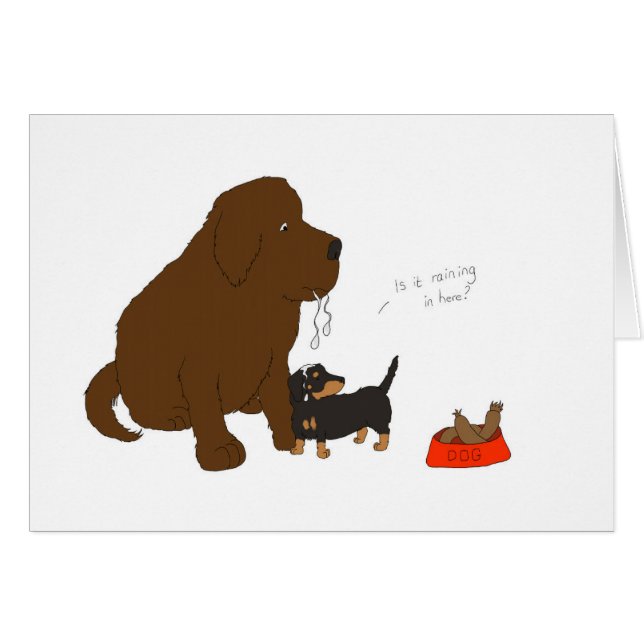 Pleut-il dedans ici ? (Devant horizontal)