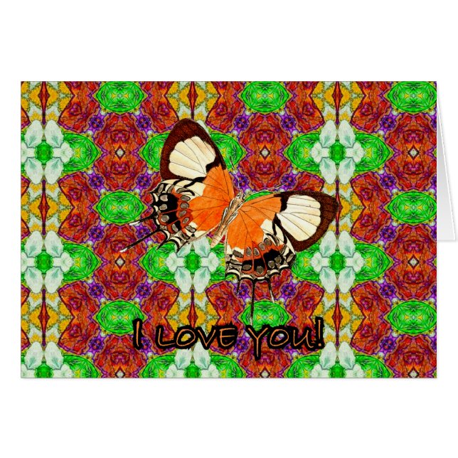 PLOG14-034 (Devant horizontal)