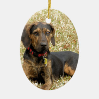 Plott Hound Ceramic Ornament