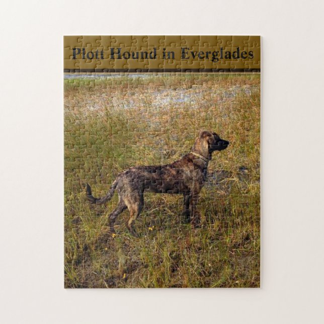 Plott Hound Dans Everglades Floride Jigsaw Puzzle (Vertical)