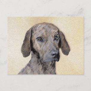 Plott Painting - Cute Original Dog Art Postcard