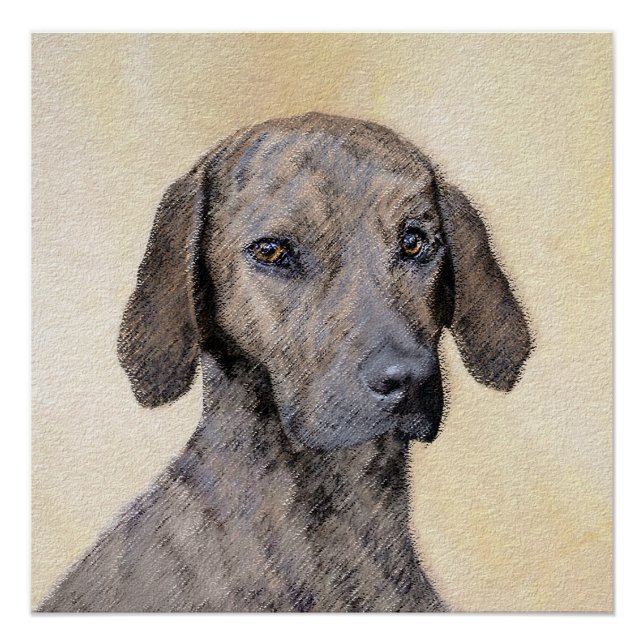 Plott Painting - Cute Original Dog Art Poster (Front)