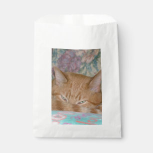Plotting Favour Bag