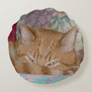Plotting Round Pillow