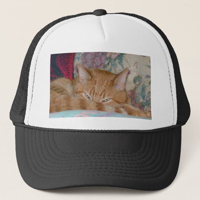 Plotting Trucker Hat (Front)