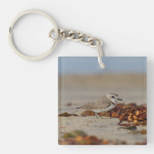 Plover and Seaweed Keychain
