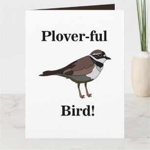 Plover Bird Funny Birding Birder Card