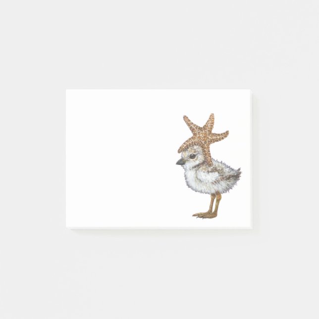 Plover chick Post-It Notes (Front)