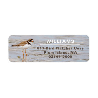 Plover Shore Bird Adresse de retour