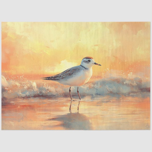 Plover Standing in Waves During Sunset Decoupage Tissue Paper (Front)