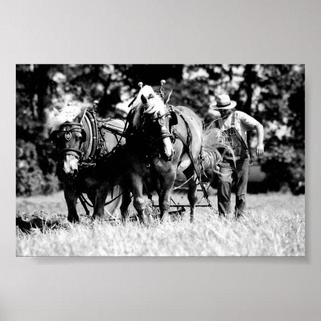 Plowing Poster (Front)