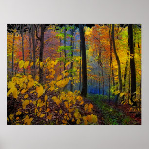 Pluie d'automne, affiche