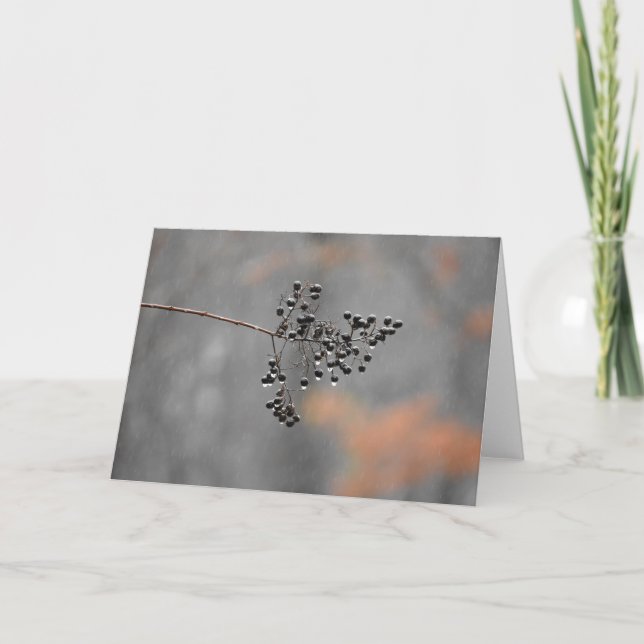 Pluie d'hiver, carte (Devant)