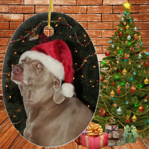 Pluie le Weimaraner - un ornement de Noël