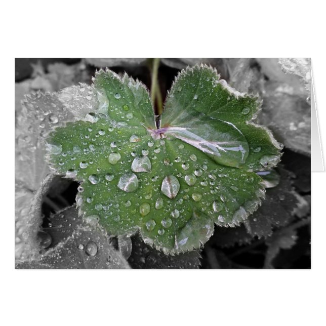 pluie lourde (Devant horizontal)