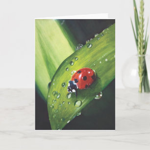Pluie sur la carte fauchée d'herbe