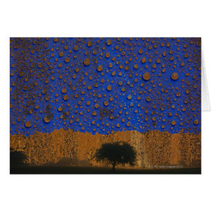 Pluies acides et pollution de l'environnement