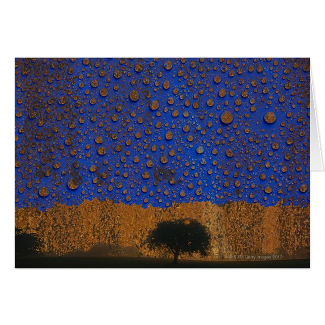 Pluies acides et pollution de l'environnement (Devant horizontal)