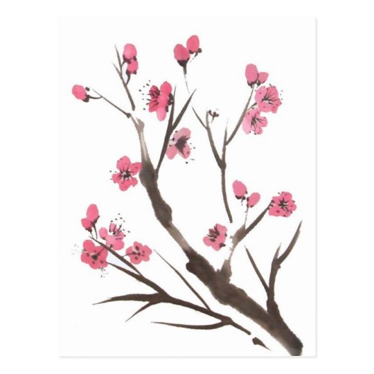 Plum Blossom Sprig Postcard