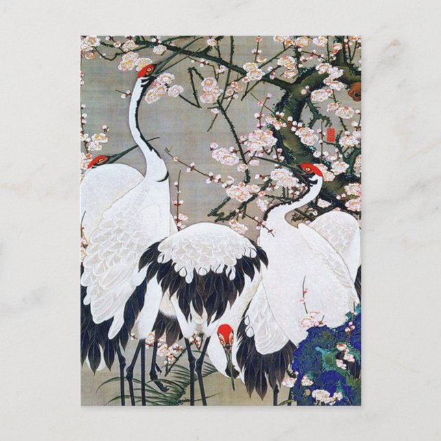 Plum Blossoms and Cranes by Ito Jakuchu Postcard (Front)