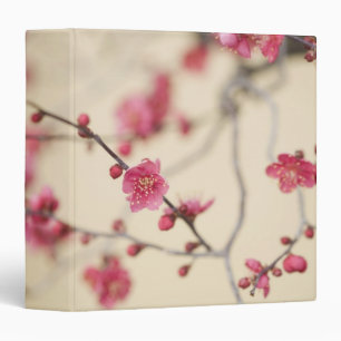 Plum Blossoms Binder