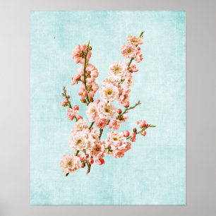 Plum Blossoms on Aged Denim Poster
