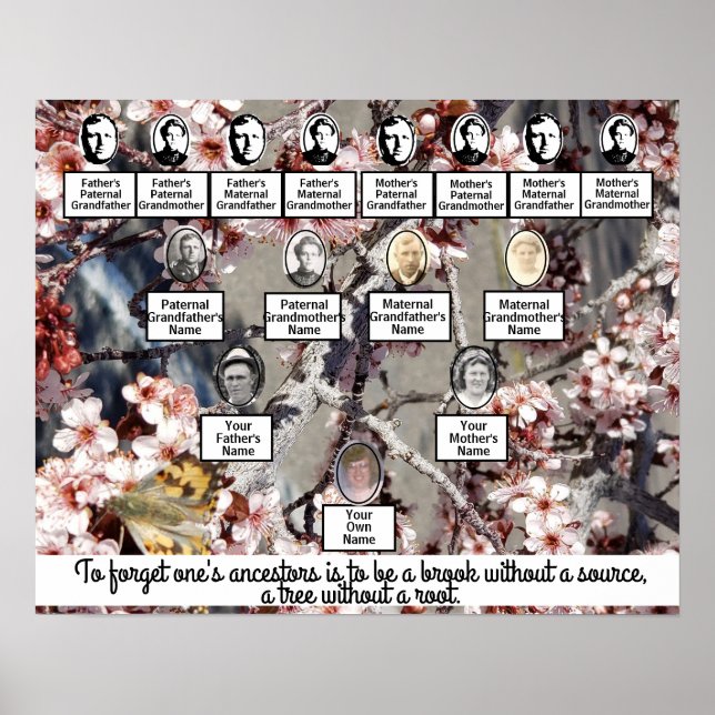 Plum Blossoms Photo Quote Family Tree Poster (Front)