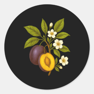 Plum Botanical Fruit Graphic Orchard Farm Nature A Classic Round Sticker