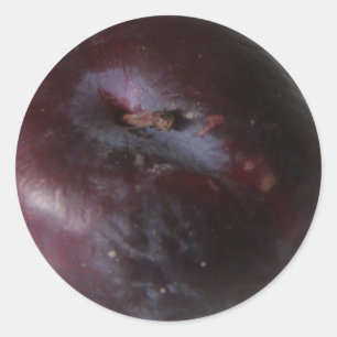 Plum Classic Round Sticker