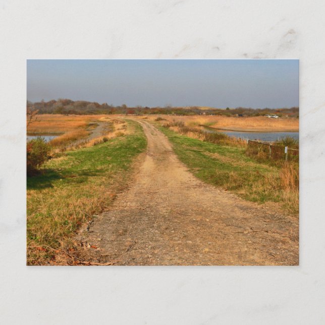 Plum Island Postcard (Front)